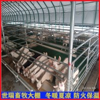 建设大棚施工队伍 承接各种大棚施工工程 宁津县世瑞畜牧设备