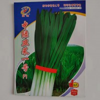 中绿韭菜一号F1种子
