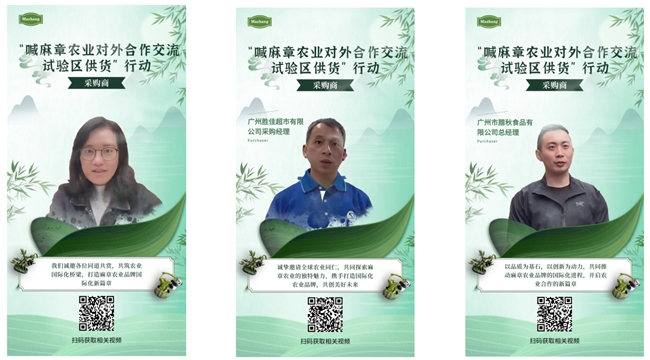 声传千里，誉满湾区。近期，众多湾区采购商自发拍摄打call视频，为麻章农业对外合作交流试验区发声，主动喊话麻章加大供货力度，用真实的体验、真诚的话语，向外界彰显麻章农业的过硬品质和强劲实力，成为麻章农业最具说服力的&ldquo;活名片&rdquo;。　　农业的竞争，归根结底是品质的竞争。麻章农业对外合作交流试验区始终将品质作为发展的生命线，立足南亚热带气候优势，深耕特色农业产业，建立起从田间到餐桌的全流程质量管控体系，严格规范种植、养殖、加工、包装等各个环节，确保每一批麻章农产品都符合安全标准、兼具品质优势。从富贵竹的精细培育到水产预制菜的标准化生产，从特色果蔬的绿色种植到农产品的精深加工，麻章用匠心守护品质，用专业铸就口碑。　　采购商的认可，是品质最好的证明。此次参与打call的湾区采购商，涵盖了商超采购、农产品批发商、餐饮供应链企业等多个领域，他们长期与麻章农产品打交道，深知麻章农产品的品质优势。在视频中，采购商们直言不讳地表达对麻章农产品的信赖，称赞麻章农产品品质稳定、口感优良、性价比高，是市场上的&ldquo;抢手货&rdquo;，更是他们拓展市场、提升竞争力的重要支撑。　　这些打call视频，不仅是采购商对麻章农业的肯定，更凝聚起麻章农业高质量发展的强大合力。近年来，麻章农业对外合作交流试验区不断加大科技投入，引进先进的种植养殖技术和加工设备，培育壮大农业龙头企业，推动产业规模化、标准化、品牌化发展，形成了&ldquo;企业引领、基地带动、农户参与&rdquo;的良好发展格局。目前，麻章富贵竹占据全球七成市场份额，水产预制菜远销欧美、中东，特色果蔬获评全国名特优新农产品，这些成绩的取得，离不开品质的坚守，更离不开采购商的支持。　　未来，麻章农业对外合作交流试验区将以采购商的认可为动力，持续深耕品质提升，不断优化产业结构，完善供应链体系，推动麻章农产品品质再上新台阶。同时，进一步深化与湾区采购商的合作，搭建更便捷、高效的对接平台，实现供需精准匹配，让麻章农业的硬实力转化为发展的软实力，让更多人通过优质农产品认识麻章、选择麻章，推动麻章农业在对外开放的道路上稳步前行。