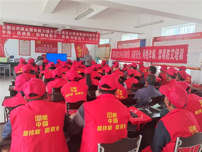 在乡村振兴的浪潮中，红土坡镇簪花村果蔬种植协会以&ldquo;小切口&rdquo;撬动&ldquo;大变革&rdquo;，创新&ldquo;协会引领、技术赋能、产销联动&rdquo;模式，通过精准对接市场需求、强化技术支撑、完善利益联结，走出了一条以特色种植带动群众增收、激活乡村活力的新路径。特别是在工业辣椒种植推广中，协会探索出的&ldquo;四步工作法&rdquo;，不仅让产业规模从274亩扩展至320亩，成为&ldquo;小产业撬动大增收&rdquo;的生动实践。　　建强组织堡垒，筑牢抱团发展&ldquo;主心骨&rdquo;。针对农户&ldquo;单打独斗缺技术、散兵作战愁销路&rdquo;的痛点，协会搭建&ldquo;理事会+专业小组+会员&rdquo;的组织架构，吸纳50名种植大户为核心会员，下设技术指导、物资供应、市场对接等专项小组，实现&ldquo;统一服务、分工协作&rdquo;。通过建立定期培训、信息共享、互助帮扶机制，将&ldquo;各扫门前雪&rdquo;的松散状态转变为&ldquo;抱团闯市场&rdquo;的合力，2024年带动全村80%农户参与特色种植，&ldquo;协会引领、户户参与&rdquo;的发展格局逐步形成。&ldquo;以前种地靠经验，种出来卖不掉只能烂在地里。现在有了协会，从选种到销售全有人管，我们只管安心种好地！&rdquo;种植户苏琼山的感慨道出了协会的核心作用。红土坡镇簪花村果蔬种植协会成立于2023年，由村&ldquo;两委&rdquo;牵头，吸纳种植能手、返乡青年、农资供应商等120余户参与，通过&ldquo;协会+合作社+企业&rdquo;的组织架构，构建起&ldquo;风险共担、利益共享&rdquo;的产业共同体。协会的核心职能体现在&ldquo;三个统一&rdquo;。统一生产标准，制定《工业辣椒种植技术手册》，从移栽到采收，明确28项操作规范，确保产品品质均一；统一物资供应，与3家农资企业签订直供协议，以低于市场价10%的价格为会员提供种子、化肥等物资，每年为农户节省成本超过15万元；统一市场对接，由协会出面与楚雄力东农产品有限公司签订保底收购协议，约定&ldquo;市场价低于保底价时按保底收购，高于保底价时随行就市&rdquo;，彻底破解农户&ldquo;丰产不丰收&rdquo;的难题。截至2025年10月，协会会员从初期的50户扩展至126户，辐射带动周边3个自然村发展特色种植，形成&ldquo;一户带一片、一片连一村&rdquo;的发展格局。　　聚焦技术赋能，破解产业升级&ldquo;拦路虎&rdquo;。协会成立之初，便直击农户&ldquo;凭经验种植、靠天吃饭&rdquo;的痛点，构建&ldquo;技术下沉&mdash;本土转化&mdash;效益可视化&rdquo;的服务链条，将&ldquo;测土配方施肥&rdquo;&ldquo;绿色防控&rdquo;等技术转化为&ldquo;土话教程&rdquo;，让农户听得懂、用得上，推广滴灌、防虫网等实用技术，实现产量和品质双提升。精准选种，筑牢产业根基。针对本地红壤偏酸、夏季多雨的特点，协会联合镇农业发展服务中心开展品种试种，从12个备选品种中筛选出&ldquo;云辣11号&rdquo;这个适配品种，不仅抗旱耐涝、抗病力强，且辣素含量达1.2%以上，符合深加工企业需求，亩产较传统品种提升30%，收购价高出市场价10%。精细指导，提升种植水平。协会组建12名&ldquo;土专家&rdquo;组成的技术服务队，推行&ldquo;五个一&rdquo;服务模式：每周一次田间巡查、每月一次技术培训、每茬一次现场观摩、随时在线答疑、收获期上门测产。针对病毒病、蚜虫等常见问题，服务队用&ldquo;蚜虫怕草木灰，病毒病要早拔除&rdquo;等通俗语言指导农户，将病虫害损失率控制在5%以内。&ldquo;同样的地，去年亩产才800公斤，今年按协会教的方法种，亩产冲到1200公斤，而且辣度达标，每斤多卖1块钱！&rdquo;种植户胡登位的账本，直观展现了技术赋能的成效。打通产销链路，构建利益联结&ldquo;共同体&rdquo;。协会以&ldquo;利益共享、风险共担&rdquo;为纽带，打破小农户分散经营的局限，构建起覆盖全链条的联农带农机制，让&ldquo;共同富裕&rdquo;从口号变为现实。&ldquo;以前卖辣椒都要指望那些零散的收购商，遇上一些收购商压价，只能忍气吞声。现在协会统一收、企业上门拉，价格透明，省心又划算。&rdquo;说起产销变化，种植户段加兴难掩笑意。协会通过&ldquo;订单农业+提质增效&rdquo;，让产业链增值收益更多留在农户手中。订单驱动，稳定产销预期。瞄准&ldquo;卖得好&rdquo;，协会与法郎农产品合作社、楚雄力东农产品公司等企业签订长期协议，推行&ldquo;统一供种、统一标准、保底收购&rdquo;模式，解决农户&ldquo;丰产不丰收&rdquo;的后顾之忧。今年，辣椒市场价较保底价高出1元/公斤，全村320亩工业辣椒预计实现总产量450余吨，产值可达220余万元，120户种植户户均增收超1.8万元。　　强化示范引领，激活乡村振兴&ldquo;内动力&rdquo;。红土坡镇簪花村果蔬种植协会的实践，关键在于通过产业发展凝聚人心，让村民从&ldquo;要我发展&rdquo;变为&ldquo;我要发展&rdquo;。协会通过&ldquo;骨干带动+激励机制&rdquo;，培育出一批产业带头人，形成&ldquo;头雁领航、群雁齐飞&rdquo;的生动局面。党员带头，做给群众看。村党总支书记鲁庆荣率先试种20亩工业辣椒，在他的带动下，15名党员主动加入协会，每人结对帮扶5户农户，手把手传授种植技术。党员谢丽丽不仅自己种得好，还开通抖音账号分享种植日常，吸引众多粉丝关注，成为当地小有名气的&ldquo;辣椒西施&rdquo;。目前，全村共培育种植大户8户，户均种植面积达10亩以上，年种植收入超过6万元。典型引路，跟着能人干。协会每半年评选&ldquo;种植能手&rdquo;&ldquo;销售之星&rdquo;，通过村广播、户长会、公示栏等宣传其事迹。种植户苏琼山从最初的3亩地扩展到10亩，年收入超8万元，他的故事被编成快板在村里传唱，带动17户农户扩大种植规模。抱团成势，一起向未来。协会就像乡村振兴&ldquo;路由器&rdquo;，一头连着田间地头的实践，一头接着市场需求的脉搏，把技术、资源、信心注入乡土，把&ldquo;各扫门前雪&rdquo;变成&ldquo;互助一家亲&rdquo;，12名技术骨干带着120户种植户，从移栽到销售全程陪跑；&ldquo;老带新&rdquo;师徒制让15名新手快速上手；协会的工业辣椒示范基地，重点帮扶贫困对象10人，提供零工就业岗位共20个，带动了部分在家妇女、老年半劳动力能够就近就业。如今的簪花村，昔日零散的农田连成片，&ldquo;单打独斗&rdquo;成&ldquo;抱团作战&rdquo;，不仅工业辣椒种得好，村民议事更齐心，村容村貌也焕然一新。　　红土坡镇簪花果蔬种植协会的实践证明，乡村振兴的核心动力，在于能否激活基层组织的&ldquo;造血功能&rdquo;&mdash;&mdash;用技术打通产业升级的堵点，用联结凝聚共同富裕的合力，用智慧唤醒乡土资源的价值。这个扎根泥土的&ldquo;小组织&rdquo;，正以其强大的生命力，诠释着&ldquo;基层治理+产业发展&rdquo;的深度融合，为乡村振兴提供了可复制、可推广的&ldquo;草根样本&rdquo;。　　（通讯员 鲁丽华）
