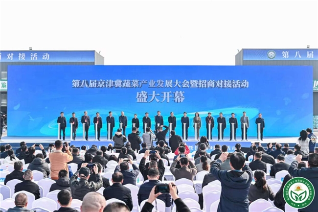 11月3日至4日，以&ldquo;发展高品质蔬菜 共享高品质生活&rdquo;为主题的第八届京津冀蔬菜产业发展大会暨招商对接活动在衡水市冀州区举行。大会由河北省农业农村厅、北京市农业农村局、天津市农业农村委员会、衡水市人民政府联合主办，衡水市农业农村局、冀州区人民政府承办。农业农村部、京津冀三地农业农村部门及相关部门领导参加活动，来自全国知名蔬菜投资商、采购商、经销商、行业专家，以及国内顶尖的种子种苗生产、绿色防控物资、农机装备制造等企业代表等1500余人齐聚冀州，现场对接洽谈。　　本届大会是深入推进京津冀协同发展，贯彻党的二十届四中全会精神，提升农业综合生产能力和质量效益的重要举措。大会聚焦优良品种、领先技术、先进装备、可靠农资、新型棚室等内容，通过基地观摩、招商推介、产销对接、精品展示、番茄大赛、专题讲座等活动，全方位展示了河北蔬菜全产业链的发展成果，有力推动京津冀三地农业资源优势互补、产业链深度融合。　　多领域成果展示，赋能&ldquo;菜篮子&rdquo;。大会集中展示了精品蔬菜、种子种苗、设施建造、农资、农机、金融等多个领域的2000余种农产品及各类创新成果。在精品蔬菜区，鸡泽辣椒、平泉食用菌、冀州天鹰椒等各具特色、缤彩纷呈，其中很多展品来自183家环京周边蔬菜基地，基地年供应能力超50万吨，为北京市场&ldquo;日常供得稳、应急有保障&rdquo;提供了有力支撑。在种子种苗区，京研益农、天津科润等企业的优质品种吸引众多种植户咨询。近年来，河北与京津科研机构深度合作，每年引进推广50多个适宜北京消费者需求的新品种。在农资装备区，性诱剂、熊蜂授粉等绿色生产物资与智能温控装备、智慧农机等集中亮相，实时演示水肥一体化灌溉机、自走式蔬菜打药机、采收机等装备的作业流程，通过&ldquo;看得见、摸得着、信得过&rdquo;的方式，助力蔬菜产业从&ldquo;传统种植&rdquo;向&ldquo;智慧种植&rdquo;跨越。　　多渠道精准招商，保障对接实效。在产销对接方面，编发手册，内容涵盖京东集团、沃尔玛中国投资集团有限公司等近百家全国知名连锁商超采购商、批发商需求信息，全省650家重点家蔬菜种植基地供应信息，以及全国知名的农资装备企业供给信息，同时河北捷如美公司、肃宁县绿苑蔬菜合作社等19家企业现场推介蔬菜信息，精准匹配产需信息，实现产销共赢。在招商推介方面，组织蔬菜产业大县与北京禾瑞贸易有限公司等60余家投资商面对面洽谈，鸡泽、平泉等5个县现场发布招商重点项目，推介当地蔬菜产业优势、政策优势和发展规划，匹配资源与需求。另外，邀请中国银行等多家金融机构，聚焦县域优势蔬菜产业，发布针对性金融产品，为保障&ldquo;菜篮子&rdquo;稳定供应提供金融助力。　　8大基地亮优势，引领产业升级。两年来，大会承办地冀州区引入龙头企业16家，实施总投资37.3亿元的18个农业产业化项目，新建现代农业园区8个、特色种植基地7个。大会围绕新型设施设备、蔬菜种植加工、数字化等关键领域，通过8个观摩点，全方位展示河北蔬菜产业发展成果，各观摩点特色鲜明。科芯（衡水）生态智慧农场是&ldquo;智慧农业研发中试、高新技术集成示范、专业人才孵化&rdquo;基地，集育苗、种植、销售、观光、研学于一体的全产业链智慧农业示范园区。冀州区育繁推一体化种苗数智工厂配备国内领先的自动化种苗生产流水线，展现现代化、智能化育苗技术实力。冀州区湖畔五彩果蔬产业园重点展示高架无土栽培模式、融合智能装备与数字技术等，打造京津优质绿色蔬菜供应基地。冀州区多水源智能融合基地聚焦四类水资源（区域地表水、雨水、浅层地下盐碱水、深层淡水），在全国首创利用&ldquo;五大类&rdquo;技术，实现区域水源改造提升。冀州现代农事综合服务中心高标准打造电商直播、农产品精深加工孵化等五大基地板块，构建高效便捷农业社会化服务体系。衡水国际设施园艺产业园采用垂直农场、雨林温室、自然温室、农场温室等多种设施，推进&ldquo;人工智能+&rdquo;在现代设施农业领域应用。河北舜成农业发展有限公司主打都市休闲和生态绿色农业，通过采用生态防控技术，实现生态增绿、产量增产、农户创收的多重效益统一。　　&ldquo;双十&rdquo;成果发布，促进品质提升。大会集中发布&ldquo;蔬菜品质提升十大主推技术&rdquo;宣传推广新技术、新模式、新装备；在去年首次发布实施&ldquo;冀州天鹰椒&rdquo;等10种蔬菜特色品种品质指标的基础上，继续发布&ldquo;饶阳番茄&rdquo;等10个特色果蔬高品质指标体系，进一步完善我省蔬菜标准体系，为标准化生产提供科学依据和技术支撑，推进河北省蔬菜产品品质、质量和效益提升。　　优质单品评选，提高溢价水平。为赋能番茄产业高质量发展，大会期间举办了第二届&ldquo;中捷四方杯&rdquo;高品质番茄大赛，在全省广泛征集133个参赛产品，根据口感、固形物含量、外观等指标，邀请相关专家综合评选出了3个&ldquo;番茄大王&rdquo;、13个&ldquo;一等奖&rdquo;等多个奖项，并在大会期间设置专展进行展示推介，进一步提升河北高品质单一品类蔬菜影响力和溢价能力。　　京津冀地缘相接、人缘相亲，蔬菜产业互补性强。推进三地蔬菜产销对接与招商合作，是保障&ldquo;菜篮子&rdquo; 稳定供应、助力农民增收的重要举措，也是践行大食物观的生动实践。下一步，我们将时刻牢记嘱托，勇担时代重任，汲取时代力量，在转型发展&ldquo;蹚新路&rdquo;征程上砥砺奋进，以昂扬斗志奋勇前进，共同开创蔬菜产业的美好未来。（ 通讯员 谢学猛）