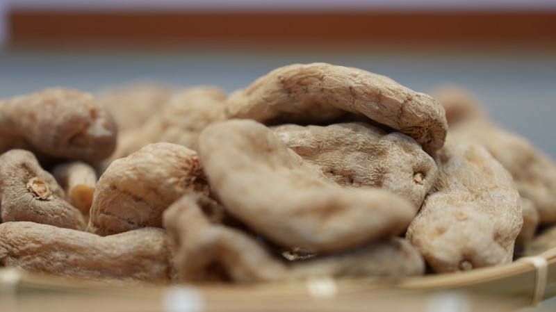 在云南东北部的乌蒙山区，1800-2200 米的黄金海拔带间，76% 的森林覆盖率孕育出一片生态净土，富硒土壤与高原立体气候在这里碰撞交融，孕育出被誉为 &ldquo;中国乌天麻之乡&rdquo; 的昭通瑰宝 &mdash;&mdash; 昭通天麻。从昔日深山里的 &ldquo;宫廷贡品&rdquo;，到如今撑起十数万农户增收致富的 &ldquo;黄金产业&rdquo;，昭通天麻正以不断夯实的产业基础、持续扩大的产业规模，在乡村振兴的大地上书写着属于自己的精彩篇章。　　昭通天麻的种植历史，是一部与自然共生、与科技同行的进化史。曾经，当地农户种植天麻全凭 &ldquo;土办法&rdquo;，种源直接采自野外，菌种自行培育，不仅产量低且不稳定，1 亩地最多收获 1000 多斤天麻，还伴随着极高的种植风险。彝良县小草坝镇宝藏村村民姜庆坤对此深有体会，前些年因天麻产量上不去，他不得不背井离乡外出务工，留下妻儿守着山间的薄田。&ldquo;那时候种天麻就是碰运气，遇到菌种不行，一年的辛苦就全白费了。&rdquo; 姜庆坤的话，道出了曾经昭通天麻种植户的普遍困境。　　为破解产业发展瓶颈，昭通市下定决心从源头抓起，构建全国最完整的乌天麻种质资源体系。如今，昭通已保存 163 份全国天麻种源，在彝良、永善、镇雄、大关四县建立起 7000 亩野生天麻种质资源保护区，完善的监控预警、气象土壤检测设备时刻守护着天麻的 &ldquo;基因宝库&rdquo;。不仅如此，昭通还加强与中国科学院上海药物研究所、云南中医药大学等科研院所的合作，组建专业团队开展天麻萌发菌、蜜环菌种质收集与良种繁育工作。功夫不负有心人，&ldquo;昭乌麻 1 号&rdquo;&ldquo;滇乌麻 1 号&rdquo;&ldquo;滇乌麻 2 号&rdquo; 等优质天麻品种相继选育成功，天麻 &ldquo;两菌&rdquo; 自给率从 2023 年的 25% 飙升至如今的 80% 以上，彻底改变了过去 &ldquo;无菌不种麻&rdquo; 的被动局面。　　昭通学院更是为天麻产业发展注入了强劲的科技动力。作为全国首个省级天麻与真菌共生生物学重点实验室的依托单位，昭通学院成立天麻产业学院，形成基础研究、成果转化、人才培养三位一体的支撑体系。截至目前，学院已发表天麻相关学术论文近 90 篇，申请专利 45 项，其中 6 项专利实现成果转化，与国内外 10 多家科研院所建立起深度合作关系。&ldquo;我们围绕天麻做了一系列系统性研究，从天麻与两菌的共生机制，到有效成分转化积累机理，再到产品开发，每一个环节都力求突破。&rdquo; 昭通学院党委副书记、校长刘鸿高表示，学院还针对天麻种植、加工、产品研发等产业环节开设特色课程，通过理论学习、基地实习、企业实践相结合的方式，为昭通培养了一大批懂技术、会经营的天麻专业人才。　　科技赋能让昭通天麻种植迎来了 &ldquo;丰收季&rdquo;。现在的姜庆坤早已回到家乡，依靠科学种植技术，他的天麻亩产达到 3500 多斤，1 亩地能卖 10 多万元，家里种的 10 多亩天麻，一年毛收入就有 100 多万元。&ldquo;现在种天麻心里有底了，用的是选育好的良种和标准化菌种，不仅产量高，品质还好，收购商抢着要。&rdquo; 看着自家烘干房里堆积如山的天麻，姜庆坤的脸上满是丰收的喜悦。如今，像姜庆坤这样依靠天麻实现增收致富的农户在昭通还有很多，全市天麻种植已辐射 7 个县（区）41 个乡镇 92 个行政村，带动 2.78 万户 12.22 万人直接种植，其中三类对象 0.61 万户 2.56 万人实现就近就地就业，间接带动 15 万人从事天麻加工、销售等相关工作，天麻产业已成为昭通乡村振兴的 &ldquo;主力军&rdquo;。　　在夯实种植基础的同时，昭通市也在不断扩大天麻产业规模，推动产业从 &ldquo;小散弱&rdquo; 向 &ldquo;集约化、标准化&rdquo; 转型。为满足日益增长的菌种需求，昭通加大招商引资力度，引进 4 家 &ldquo;两菌&rdquo; 标准化生产企业，年产 &ldquo;两菌&rdquo; 1200 万瓶（袋）。云南森浩菌业有限责任公司就是其中的佼佼者，作为一家以天麻伴生菌研发、生产及销售为主营业务的企业，其年生产 &ldquo;两菌&rdquo; 能力达 190 万瓶，公司与科研院所联合研发的 &ldquo;乌天麻&rdquo; 菌种，每亩可为农户增收 4000 元以上，产品已销往全国所有适合种植天麻的地区，2024 年产值超 1000 万元。&ldquo;我们的菌种不仅质量稳定，还会为农户提供全程技术指导，帮助他们种出好天麻。&rdquo; 公司生产部经理龙通鸿介绍道。　　种植规模的扩大也带动了初加工产业的蓬勃发展。昭通市按照新版《中药材生产质量管理规范》（GAP）要求，推进天麻产地初加工标准化、规模化、集约化发展，提升天麻净制、切制、干燥、分级、包装、仓储等产地加工能力。目前，全市已建成多个天麻初加工基地，配备专业的烘干设备和分拣生产线，有效解决了天麻采收后难以保存、品质下降的问题，延长了天麻的保质期，提高了产品附加值。同时，昭通还依托天麻及中药材产业数字服务平台，实现天麻从种子（苗）、种植、采收、加工、仓储、物流到销售的全过程可追溯，让每一斤天麻都有 &ldquo;身份证&rdquo;，消费者可以通过扫码了解天麻的种植基地、加工流程等信息，买得放心、吃得安心。截至 2024 年，昭通天麻种植面积已达 11.57 万亩，占全国天麻种植面积的 18.37%、云南省的 89.91%，鲜天麻产量 5.82 万吨，有机认证面积达 10 万亩，综合产值达 93.91 亿元。　　品牌是产业发展的 &ldquo;金字招牌&rdquo;，昭通市在做大做强天麻产业的过程中，始终注重品牌培育。&ldquo;昭通天麻&rdquo; 先后获得国家地理标志保护产品、云南 &ldquo;十大云药&rdquo; 等称号，2025 年品牌价值评估达 82.79 亿元，跻身地理标志品牌全国 42 强。为规范品牌使用，昭通制定相应的管理办法，严格审核企业用标资质，目前已有 23 家企业获得 &ldquo;昭通天麻&rdquo; 证明商标使用权，用标企业产值总和达 3.164 亿元。云南永孜堂制药有限公司作为昭通以天麻为名片引进的第一家深加工企业，通过 &ldquo;天麻精粹 + 道地药材&rdquo; 的创新工艺，成功研制出天麻醒脑胶囊，将天麻的附加值提高 10 倍，2024 年公司产值近 3 亿元，产品销售网遍布全国各地，尤其在沿海城市的销量逐年攀升。&ldquo;以天麻为原材料的药品在市场上一直很受欢迎，我们对未来发展充满信心。&rdquo; 公司总经理陈关祥说。　　展望未来，昭通市制定了天麻产业高质量发展三年行动计划（2025-2027 年），计划到 2025 年天麻种植面积稳定在 10 万亩，2026 年达到 11 万亩，2027 年突破 12 万亩；品牌价值方面，2026 年力争进入中国品牌价值排行榜第 35 位，2027 年冲刺前 30 位，品牌价值突破 120 亿元。在乌蒙山区的这片热土上，昭通天麻正以蓬勃的生机，扎根沃土、向阳生长，用不断夯实的产业基础和持续扩大的产业规模，带动更多农户增收致富，为乡村振兴注入源源不断的动力，让这颗 &ldquo;高原明珠&rdquo; 在全国乃至世界的舞台上绽放更加耀眼的光芒。（通讯员：曹远方）