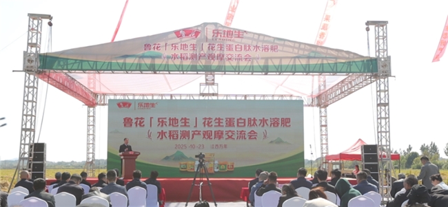 2025年10月23日,鲁花&ldquo;乐地生&rdquo;花生蛋白肽水溶肥水稻测产观摩会在&ldquo;世界稻作文化发源地&rdquo;江西万年县举行。中国合作经济学会会长、原农业农村部总农艺师孙中华,中国农业技术推广协会会长、全国农业技术推广服务中心原主任陈生斗,万年县委书记余华阳,中国农业技术推广协会发展部主任蒙艳华,湖南省政府参事、湖南省农业科学院水稻研究所研究员赵正洪,江西省农业科学院土壤肥料与资源环境研究所原书记、研究员彭春瑞,山东农业大学资源与环境学院教授董元杰,江西省农技推广中心种植业推广处主任刘凯丽,万年县领导陈光辉、江鹏翀,鲁花集团执行总裁宫兆海等行业协会、科研院所、农业技术推广部门的领导与专家,万年县水稻种植大户以及央视等媒体代表出席。　　此次由中国农业技术推广协会主办,万年县人民政府、湖南省农业科学院水稻研究所协办,山东鲁花控股集团承办的水稻测产观摩会,便是一次见证鲁花地生生物科技有限公司研发的&ldquo;乐地生&rdquo;花生蛋白肽水溶肥为享有&ldquo;中国贡米之乡&rdquo;美誉的万年县注入科技活力、探索水稻增产提质新路径的一次重要实践。　　期间,与会领导、专家深入石镇水稻试验基地,实地观摩了使用&ldquo;乐地生&rdquo;水溶肥与常规施肥的水稻田对比情况。试验田内,水稻植株长势健壮、穗大粒饱、茎秆粗壮,展现出显著的生长优势,彰显了&ldquo;乐地生&rdquo;水溶肥对大田稻米增产提质的巨大成效。经江西省农业科学院土壤肥料与资源环境研究所原书记、研究员彭春瑞在测产现场权威发布测产数据,施用&ldquo;乐地生&rdquo;花生蛋白肽水溶肥的水稻实验田较对照田实现增产14.04%,且稻米品质更优,土壤有机质含量明显提升,充分验证了该技术在绿色高效农业发展中的巨大潜力。　　江西省农业科学院土壤肥料与资源环境研究所原书记、研究员彭春瑞发布测产数据　　&ldquo;乐地生&rdquo;是由山东鲁花控股集团全资子公司鲁花地生生物科技有限公司历经三年科技攻关、投资千万成功研制的一款新型高效的功能性花生蛋白肽水溶肥。该产品是选用独特工艺,从花生饼中分解提取出具有生物活性的花生蛋白小分子肽。与传统肥料相比,&ldquo;乐地生&rdquo;水溶肥的小分子肽无需分解可直接被作物吸收,能通过叶茎喷施、&ldquo;水肥一体化&rdquo;冲施等多种方式施用,因此具有吸收效率高、生物活性强、施用方式灵活多样等显著优势,是小分子肽产品从人类保健食用向植物施用延伸的引领性产品。　　山东鲁花地生生物科技有限公司总经理李卫青介绍&ldquo;乐地生&rdquo;水溶肥　　那么,这个从花生饼提取出的&ldquo;金疙瘩&rdquo;如何能够破解万年贡米增产与提质并举的痛点?据山东鲁花地生生物科技有限公司总经理李卫青在测产现场介绍,&ldquo;乐地生&rdquo;水溶肥进入土地后,会改善土壤团粒结构,通过调节土壤酸碱度来改善受损土壤,让酸化土壤的酸碱度回归到适宜植物生长的&ldquo;黄金区间&rdquo;,把因过度使用化肥导致板结的土壤变得疏松多孔,增强土壤的保水透气性能,以涵养、固持更多的水分和营养物质,进而提升土壤肥沃度,增强土壤肥力,从而提高土地质量,为作物打造出优质理想的生长环境,是土壤生态修复的核心力量。他说,&ldquo;乐地生&rdquo;水溶肥在促进作物根系发育、花芽分化,增强抗病能力,提高成熟率、增强抗逆性等方面的效果卓越,用在水稻上还表现出显著的抗倒伏、促早熟作用,所以&ldquo;乐地生&rdquo;水溶肥更能降低现代农业对生态环境的影响,减少土壤的退化和污染,保障农产品安全和绿色农业可持续发展。　　中国农业技术推广协会发展部主任蒙艳华介绍万年水稻测产情况　　不局限于水稻种植领域,&ldquo;乐地生&rdquo;在多种作物的增产提质中均展现出显著效果,具备广阔的应用前景,能够为农业生产带来实实在在的效益。鲁花&ldquo;乐地生&rdquo;水溶肥试验项目的主要负责人,中国农业技术推广协会蒙艳华博士非常自信地说,测产数据充分显示,使用和不使用&ldquo;乐地生&rdquo;水溶肥的水稻在产量上具有较大差异,对照田由于没有施用&ldquo;乐地生&rdquo;水溶肥,产量处于相对较低的水平,这充分说明&ldquo;乐地生&rdquo;水溶肥对水稻的生长和产量都有比较积极的影响,为我们在水稻种植中合理施用该肥料提供了科学的依据。她进一步介绍,今年中国农业技术推广协会和鲁花地生生物科技公司一起对&ldquo;乐地生&rdquo;水溶肥对于花生、玉米、水稻、小麦、棉花、苹果、梨、柑橘等不同作物都做了相应的试验。从目前的反馈结果来看,施用&ldquo;乐地生&rdquo;水溶肥的作物在多个方面都表现出显著优势,那些喷施了&ldquo;乐地生&rdquo;水溶肥的苹果、梨、黄瓜等果蔬,其果实的大小、色泽和口感,都有比较显著的改善,果品的商品率得到大幅提升,为果农带来了更高的经济效益。　　中国农业技术推广协会会长、全国农业技术推广服务中心原主任陈生斗讲话　　&ldquo;鲁花&lsquo;乐地生&rsquo;水溶肥在提升作物产量与改善品质上的显著成效,不仅为我国稻米产业注入新动能,更对乡村全面振兴、推动农业高质量发展以及保障国家粮食安全具有十分重要的意义。&rdquo;中国农业技术推广协会会长陈生斗由衷地说,鲁花作为农业产业化国家重点龙头企业,充分发挥中国花生油第一品牌的产业优势、技术优势、渠道优势以及花生饼粕的原料优势,创新研发出了具有活性的花生小分子蛋白肽水溶肥。这种肥料在全国各地多种作物上应用,取得了显著的提质增产效果。据初步统计,在大豆上测产,武汉农科院的测产结果是增产16.7%,而在黑龙江的五常区域测产大豆,增产25.39%;在小麦、玉米、棉花、花生上测产,均增长15%以上;在莱阳梨、秋月梨上测产,增长20%以上;还有在葡萄、苹果、猕猴桃、樱桃、大桃、草莓、包括茄子、大白菜、萝卜、黄瓜等蔬菜,都有明显的提质增产效果。今天在万年,我们是实地测产、实收测产的结果,增产了14.04%,这是非常了不起的。陈会长进一步指出,粮食安全是国之大者,科技创新是重要的支撑。鲁花坚持为农服务、为农业生产提供保障做出了重要贡献。这次我们在万年的实验示范,为全国水稻的绿色种植和单产提升提供了一个可复制的范本。中国农业技术推广协会将一如既往地支持农业科技成果的转化应用,进一步与各有关单位加强合作,共同推进农业科技的进步。同时也希望鲁花要发挥技术优势,特别是与产学研深度融合,不断加强示范展示、技术培训和技术推广,要把这些好产品应用在更大的领域内。我们期待万年经验能够在全国其它产区得到应用推广和发扬光大。　　来自万年县的一位种植大户孙先生现场分享了自己的亲身感受:&ldquo;我种了一辈子水稻,从来没见过这么好的肥料。使用&lsquo;乐地生&rsquo;水溶肥后,水稻的生长状况明显更好,稻穗更加饱满,产量提高了不少,而且稻谷的品质也有了很大提升,加工出来的大米更加香甜可口。&rdquo;无独有偶,有一次,鲁花&ldquo;乐地生&rdquo;水溶肥测产项目组在向水稻种植户介绍产品的时候,来自万年县陈营镇港口村的许女士主动找上门来。据她介绍,她与别人合伙承包了1000多亩稻田,已有13年之久,但是近年来稻米的减产降质令她焦虑不已。她听说县里推广的&ldquo;乐地生&rdquo;水溶肥效果很好,就买了几瓶试试,发现施用后的水稻比没有施用的明显茎秆粗壮,长势好,这才找到测产项目组希望得到进一步指导。在项目组的帮助下,她的稻田大面积施用了&ldquo;乐地生&rdquo;水溶肥,结果令她惊喜万分。她稻田里的水稻明显比往年穗大粒沉,茎秆健壮结实,没有出现倒伏现象,而且产量大幅提高,稻米品质好,香甜可口,每亩增产300来斤。再看周围没有施用&ldquo;乐地生&rdquo;水溶肥的稻田,出现大面积倒伏和减产降质。这一现象引得周边农户们纷纷前来观看,啧啧称奇。　　中国合作经济学会会长、原农业农村部总农艺师孙中华讲话　　在得知&ldquo;乐地生&rdquo;水溶肥能助力水稻单产提升14.04%后,中国合作经济学会会长、原农业农村部总农艺师孙中华难掩欣喜,直言这一成果的重要意义:&ldquo;这是一个重大的试验成果,是一个很好的喜讯,是非常了不起的。它是为我们党的二十届四中全会即将胜利闭幕献上的一份厚礼,对于做好&ldquo;十五五&rdquo;的农业和农村发展工作,对于建设农业强国非常有意义。&rdquo;作为长期深耕农业领域的专家,孙中华更从行业标准的角度进一步强调,一项农业技术若能实现单产提升5%,便具备推广价值,而鲁花&ldquo;乐地生&rdquo;水溶肥不仅使水稻增产幅度达14.04%,更能普遍改善作物品质,鲁花为我们的肥料产业、农业产业、为全国广大农民献上了这么一个重大的科技成果,应该为你们点赞。他引用&ldquo;庄稼一枝花,全靠肥当家&rdquo;这一农谚表达对&ldquo;乐地生&rdquo;技术成果惠及农户的期待,同时呼吁媒体广泛传播此次测产成效,加速&ldquo;乐地生&rdquo;水溶肥在农业领域的推广应用。　　万年县委书记余华阳致辞　　鲁花&ldquo;乐地生&rdquo;水溶肥在万年大田水稻的成功应用,也是政企同频共振、携手合作,共同推动区域农业现代化发展的生动实践。万年县委书记余华阳充分肯定了鲁花万年米业用实际行动支持、助力万年农业产业高质量发展。他指出,鲁花专注大米加工,在万年打造了万年大米、万年甄品香贡米、生态软香米等多个产品。鲁花&ldquo;乐地生&rdquo;水溶肥又在万年的水稻田里创造出新成果,政企再度合作,必将实现文化与产业的相互促进、交相辉映,让新一批&ldquo;鲁花水稻&rdquo;在万年这个&ldquo;水稻故乡&rdquo;绽放新的光彩!　　鲁花集团执行总裁宫兆海致辞　　鲁花集团执行总裁宫兆海表示,鲁花作为深耕&ldquo;三农&rdquo;四十余年的农业产业化国家重点龙头企业,始终以&ldquo;产业报国 惠利民生&rdquo;为宗旨,把破解农业发展难题作为科技创新的核心方向。今天大家亲眼见证的&ldquo;乐地生&rdquo;水溶肥,是鲁花回应时代需求历时三年科技攻关的创新成果。经过全国多省区、十余种作物的试验,它的功效已经得到充分验证:不仅能使农作物增产提质,更能显著改善土壤理化性状,提升有机质含量与养分供给能力,真正实现&ldquo;提质与增产并举&rdquo;。今年为了进一步验证&ldquo;乐地生&rdquo;水溶肥在水稻上的应用效果,我们与湖南省农科院、江西省农科院以及万年县农技推广中心合作开展了1000余亩的水稻种植试验,今天的测产数据为这份成效写下了最有力的注释。他进一步表示,农业现代化从来不是孤军奋战的征程,鲁花期待与政府一道,与专家携手,与广大农户联合,以这款水溶肥为纽带,打造农业产业绿色循环发展的示范样板,充分激发每一寸土地的潜力,让&ldquo;贡米之乡&rdquo;再添丰产新名片。　　2025年中央一号文件第一款第一条指出:深入推进粮油作物大面积单产提升行动。　　指出,&ldquo;要坚定不移加快转变农业发展方式,尽快转到数量质量效益并重、注重提高竞争力、注重农业技术创新、注重可持续的集约发展上来,走产出高效、产品安全、资源节约、环境友好的现代农业发展道路&rdquo;。鲁花&ldquo;乐地生&rdquo;水溶肥对水稻及各类农作物的应用成果,为农产品增产提质提供了强有力的科技支撑,标志着花生产业绿色循环经济模式的成功构建,为我国农业生产的未来发展带来了更多可能,也是鲁花以新质生产力助推绿色农业健康发展、赋能农业农村现代化的生动诠释。未来,鲁花将继续发挥农业产业化国家重点龙头企业的引领作用,满怀对&ldquo;三农&rdquo;的深厚感情,为实现我国农业高质量发展,砥砺奋进,再创辉煌。　　​​​​​​​