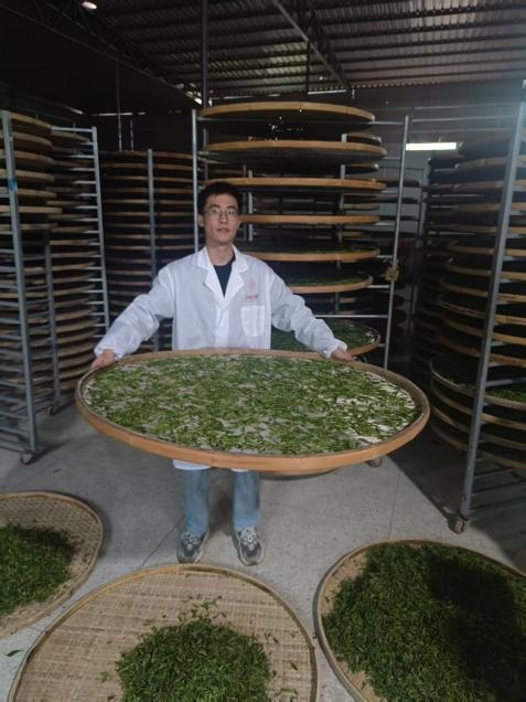 一位90后返乡创业故事　　在福建建阳的茶山深处，一位年轻的身影正忙碌于茶园与制茶车间之间。他叫罗轩泽，2022年毕业于武夷学院茶学专业的本科毕业生，一个从茶山走出的大学生，如今又带着新知识、新理念回到了养育他的这片土地。　　罗轩泽简介　　罗轩泽：茶学学士学位　　职业技能：高级茶艺师；高级评茶员　　家乡地：福建南平建阳莒口镇　　师 承：南平市白茶非遗大师叶飞龙　　家庭背景：制茶世家父为建阳首批水仙茶非遗传承人　　工作经历：任职龙头茶企&ldquo;正山堂岩语&rdquo;华东区市场负责人；　　从事茶行业8年经历；并申请2025年非遗传承人　　获奖荣誉：福建技艺制作斗茶赛：1等奖1项；作家制作奖1项、3等奖3项；优质奖5项。　　图：罗轩泽制茶图　　茶山走出的学子　　罗轩泽出生于建阳一个茶学世家，家中三代人都与茶叶有着不解之缘。从小在茶香中长大的他，对茶叶有着天然的亲切感。"我小时候就在茶园里玩耍，看着父辈们采茶、制茶，茶叶就像是我生命中的一部分。"罗轩泽回忆道。　　与父母的制茶日常　　父亲罗晓是建阳区首批水仙茶非遗传承人，对传统制茶工艺有着深厚的造诣。在父亲的熏陶下，罗轩泽从小就对茶叶产生了浓厚的兴趣。高中毕业后，他毫不犹豫地选择了茶学专业，系统地学习茶叶科学知识。"我选择茶学专业，不仅是因为家族传承，更是因为我看到了家乡茶产业的潜力和挑战。我想用科学的方法，让建阳的好茶走出大山，走向更广阔的市场。　　在大学期间，罗轩泽不仅掌握了扎实的理论知识，大学期间，罗轩泽便开始深入思考建阳白茶的发展路径。为了白茶的制茶供应与地域的工艺结合，拜师南平市白茶非遗大师叶飞龙，深入学习白茶制作技艺。这段经历让他对建阳特色茶类&mdash;&mdash;小白茶有了更深刻的理解。　　与师傅的制茶学习的日常　　对茶叶市场的认知　　毕业后，他并未立即返乡，而是选择进入知名的正山堂，担任市场经理及大区经理。这段经历让他深入市场一线，敏锐地察觉到：&ldquo;市场上建阳白茶非常稀少，但其独特的口感风味，蕴含着巨大的市场潜力和拓展空间。&rdquo; 他意识到，曾经在福建白茶出口中占据&ldquo;半壁江山&rdquo;、与福鼎银针、政和牡丹并称&ldquo;福建三大白茶&rdquo;的建阳小白（贡眉），其辉煌历史亟待被重新擦亮。　　茶博会主持事宜与对接　　放弃高薪，毅然返乡　　在旁人看来，他有着光明的前途和丰厚的收入，是典型的"成功人士"。然而，在城市工作的日子里，罗轩泽始终心系家乡的茶山和茶农。"每次回乡，看到乡亲们辛苦种植的茶叶卖不出好价钱，看到传统制茶工艺面临失传的危机，我心里就很不是滋味。"经过深思熟虑，2023年初，罗轩泽做出了一个让许多人意外的决定&mdash;&mdash;辞去高薪工作，返乡创业。　　回乡制茶技艺一线生产图　　立志发扬家乡特色　　回到家乡后，罗轩泽并没有简单地重复父辈的老路。他将在大学学到的科学知识和在城市工作中积累的市场经验，与家乡的传统制茶工艺相结合，开创了一条全新的发展道路。他首先着手整合当地茶农资源。"我们要做的不是改变传统，而是用科学的方法优化传统工艺，让建阳小白茶的特色更加突出。"罗轩泽解释道。　　与各行业制茶前辈学习图　　带着对市场的深刻洞察与先进的运营理念，罗轩泽于2024年底毅然返乡创业，并成立武夷山云泽茗源茶叶有限公司。他立志不仅要打造好自家的&ldquo;云泽茶叶&rdquo;，更致力于带动家乡全体茶农的共同发展。他利用所学知识，与父亲为茶农提供科学种植与加工指导，提升茶叶品质与效益；同时，积极运用新媒体渠道，已初步运营两个抖音账号，线上线下同步发力，讲好建阳小白茶的历史故事与文化底蕴，拓宽销售渠道，为项目茶叶销售累计突破500万。　　在产品方面，罗轩泽不仅保留了传统小白茶的制作工艺，还开发了一系列符合现代消费习惯的新产品，如小白茶茶包、冷泡茶、茶食品等，拓宽了销售渠道。　　在营销方面，他充分利用电商平台和社交媒体，讲述建阳小白茶的故事，展示茶山的自然风光和制茶过程，吸引了一批年轻消费者。"我们要让更多人了解建阳小白茶的独特魅力，这不仅是商品，更是文化的传承。"　　父亲与团队助力贫困乡民　　传承与创新并重　　作为一名茶学世家的传人，罗轩泽深知传统工艺的价值。"我父亲是水仙茶非遗传承人，我师从白茶非遗大师，这些传统技艺是我们的宝贵财富，不能丢。　　但同时，他也看到了传统茶产业面临的挑战：现在市场竞争激烈，消费者需求多样化，我们必须与时俱进，在保留传统精髓的基础上进行创新。　　我的梦想是让建阳小白茶成为福建茶的一张新名片，让更多人通过这杯茶了解建阳，了解我们的茶文化。"　　罗轩泽的返乡创业之路并非一帆风顺。面对资金短缺、市场开拓难等问题，他始终保持着乐观和坚韧。"每当遇到困难，我就会想起茶山上辛勤劳作的乡亲们，想起父亲传承给我的制茶技艺，这给了我继续前行的力量。"　　未来展望　　对于未来，罗轩泽有着清晰的规划。他计划进一步扩大家乡白茶制作的规模，带动更多茶农增收；建设茶旅融合项目，让游客体验采茶、制茶的乐趣；加强与科研机构合作，提升茶叶品质和附加值。