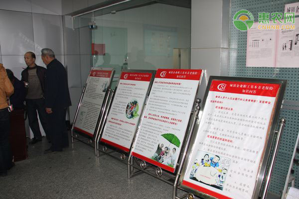我们都知道，社保是大多数人能够享受到的一项基本福利制度，通过国家政策的不断调整与改革，这项福利已经越来越完善，其中就包括医疗、生育、工伤、失业、养老等五个方面的保障。今日是2020年下半年的开始，在下半年，社保会迎来至少5个变化，哪些人将受益?一、养老金上调5月22日，国家宣布上调退休人员基本养老金，提高城乡居民基础养老金最低标准。全国近3亿人领取养老金，必须确保按时足额发放。1、企事业单位退休人员养老金涨，1亿多退休人员受益。2、农民的养老金也会迎来上调，1亿多城乡居民也会受益。3、近3亿人领取养老金会按时发放，不用担心拖欠的问题。其中，根据人社部和财政部4月份发布的关于2020年调整退休人员基本养老金的通知，今年养老金上涨5%。目前上海的养老金调整方案已经公布，企业退休人员增加的养老金5月18日已经补发到位了。此外，城乡居民基础养老金全国最低标准目前是88元，今年继续上涨，预计应该会突破100元。这是全国最低标准，一些地区已经率先上涨了，其中，上海城乡居民基础养老金上涨到1100元，江苏城乡居民基础养老金涨到160元。而且，养老金按时足额发放，也给近3亿人吃了一颗定心丸，让他们不用担心养老金不能按时领到，免除了后顾之忧。二、居民医保财政补助上涨按照国家的要求，提高居民医保人均财政补助标准，居民医保人均财政补助标准增加30元。现在的居民医保人均财政补助标是多少钱呢?2019年的时候，居民医保人均财政补助标准是520元，个人缴费250元。提高30元后，今年的居民医保人均财政补助标准将达到550元，继续占据筹资的大头。三、开展门诊费用跨省直接结算试点目前，中国已经在开展住院医疗费用的跨省直接结算，截至4月底，跨省异地就医定点医疗机构数量为29299家，累计结算488万人次。也就是不用来回奔波进行报销，现在又将扩展到门诊费用。随着门诊费用跨省直接结算试点开始，那么参保人员跨省异地报销范围扩大到门诊费用，将会更加的方便，使用社保卡就能直接报销，省时省力省心。四、扩大失业保险保障范围，将参保不足1年的农民工等失业人员都纳入常住地保障。一般来说，领取失业金是需要参保缴费1年以上，而现在门槛降低，参保不足1年的农民工等失业人员都能享受常住的保障，那么，更多的人会享受到失业保障，帮助他们渡过没有收入的失业期间，这会发挥比较重要的作用。五、我国包括零工在内的灵活就业人员数以亿计，今年对低收入人员实行社保费自愿缓缴政策。因为受到疫情的影响，很多灵活就业人员的收入下降了，可能无力承担社保缴费，容易造成断缴，实施社保费自愿缓缴政策，可以申请缓期缴纳，减轻现在的压力。同时，未来也能进行补缴，避免社保断缴从而影响养老金待遇。综上，就是下半年社保迎来5个变化的最新政策，社保迎来变化，这对我们每个人都是非常重要的。国家政策越来越好，受益的，也都是我们自己。